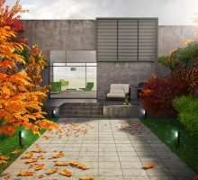 Autumn Leaves